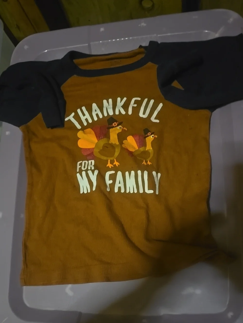 ❤️10/$13 Thanksgiving Thermal
